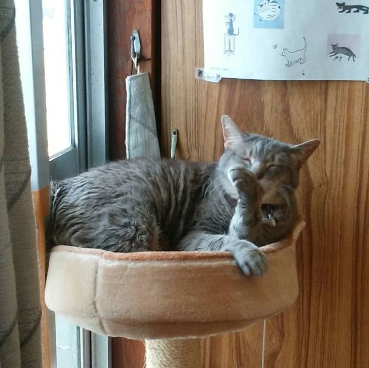 4f825986 62a5 45b0 98f1 b90f206d7747