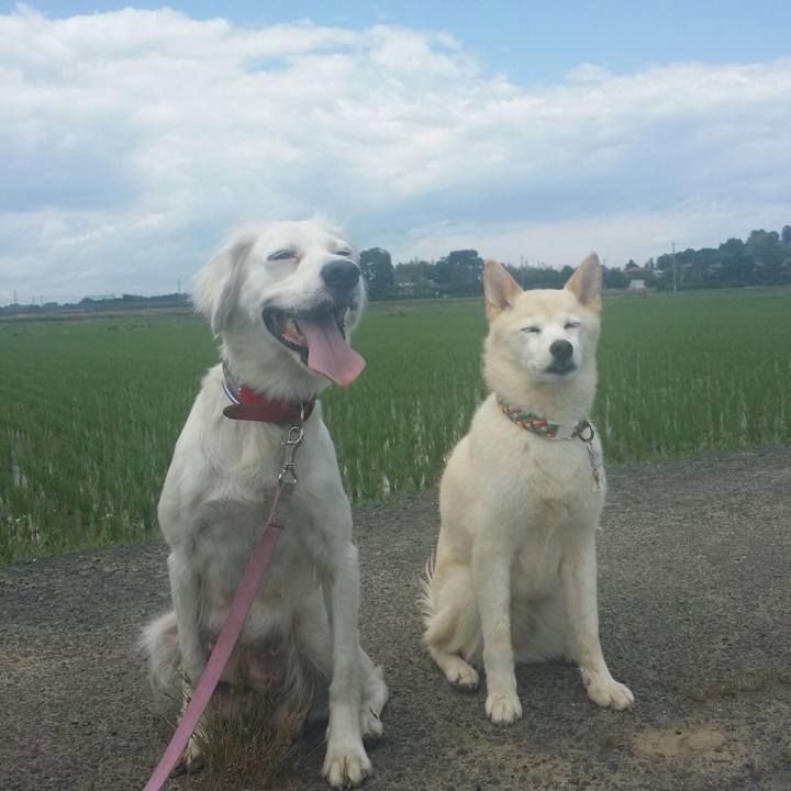 4f828488 6ca1 4df3 9df2 16c1be59344e