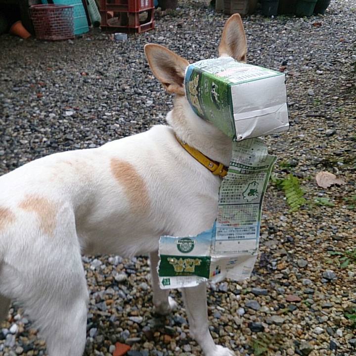 4f8364a4 ccc0 4f19 9f9f 6913610be972