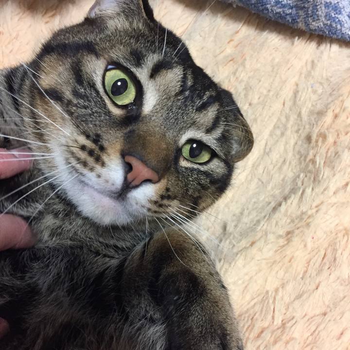 4f843fe7 cdf1 4ddb 8821 055cb98f9b8d