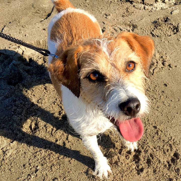 4f84401b 82aa 4268 87b9 ee1c27f6c91a