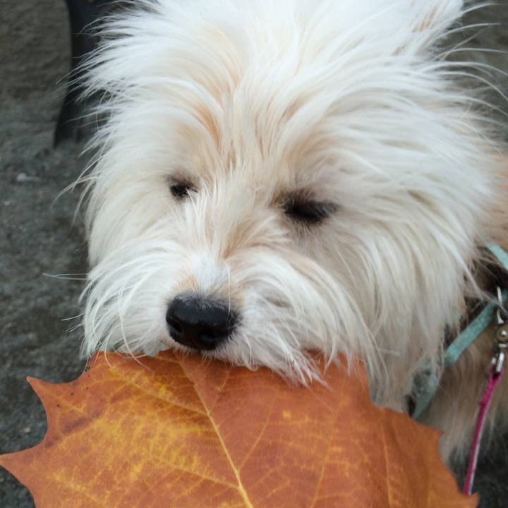 4f8492fb 3df6 4df6 8c96 2788410e3c3e