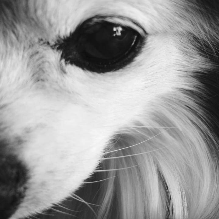 4f84de85 d4f4 4084 b6c1 442021a3c968