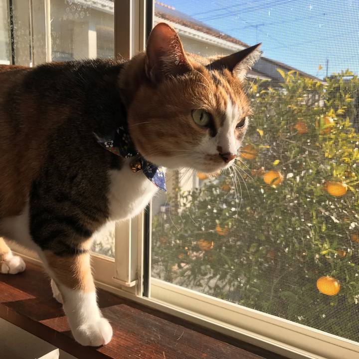 4f8500e6 5f4b 45d5 8a28 bcdb89017d77