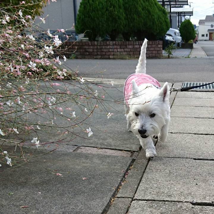 4f856244 7fd1 425e bafc e897e35bfd73