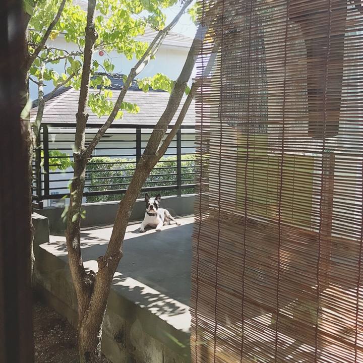 4f85f33d e5df 494c ae40 9bd6cc560160