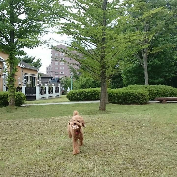 4f8651c8 afe0 4972 9306 94ca1a8d0585