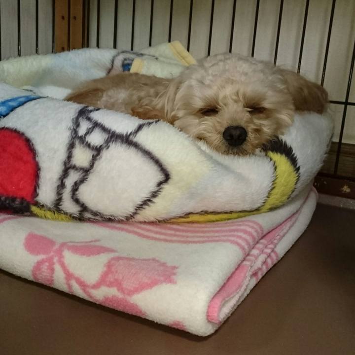 4f8652d2 f8ef 499d b61f e3cd8ac12879