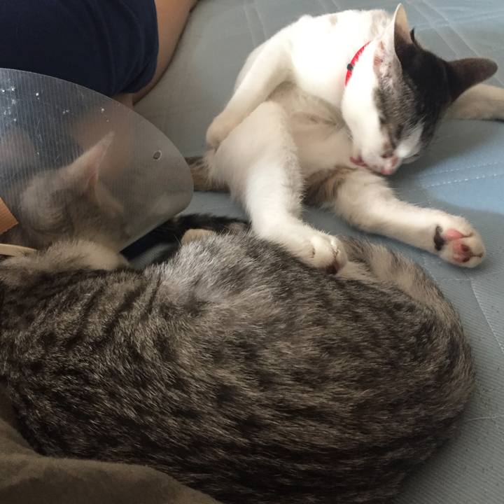 4f875101 dbee 4b8e 9032 95cc405f5fe8