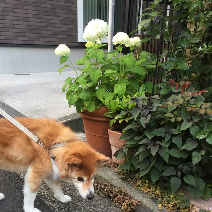 4f883674 0855 4650 b274 d027d5c9af1d