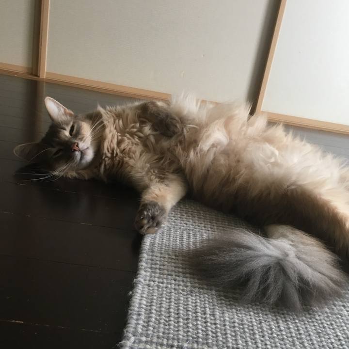 4f892319 587d 43c4 9f97 4a588a610b24