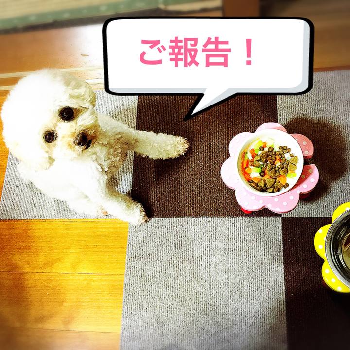 4f896939 1998 4c8c b077 c826cdd4c191