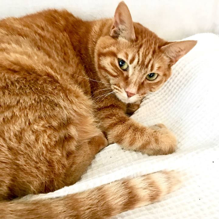 4f898e79 fd9f 40ee b0de d945133a87c9