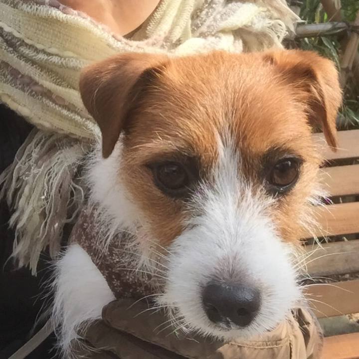 4f89bafa 22de 40e8 bf9b a46ded52f531