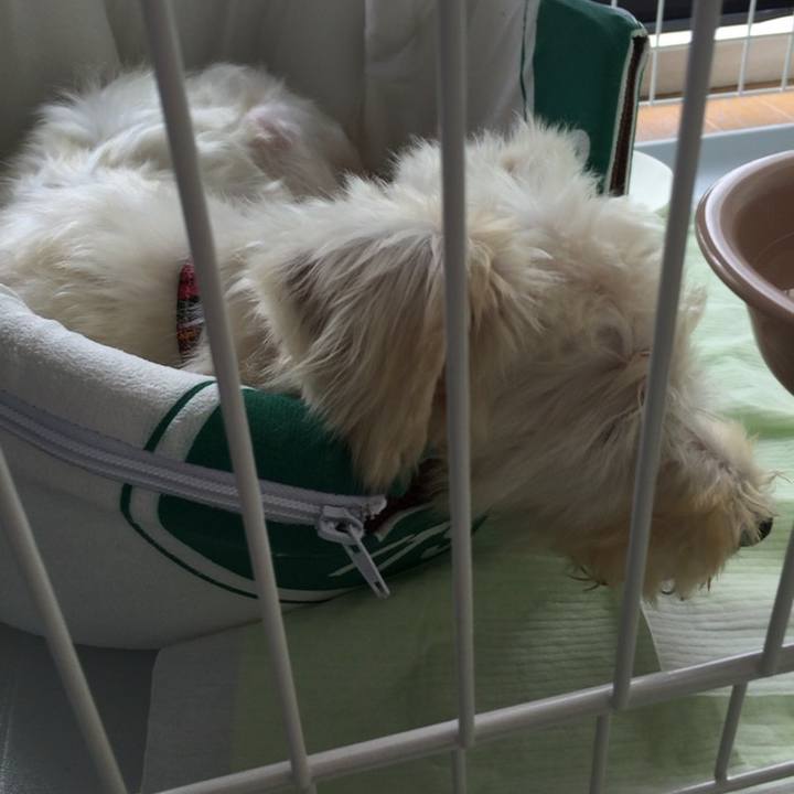 4f89cfdf 7d04 4b4d 9d13 456663374b60