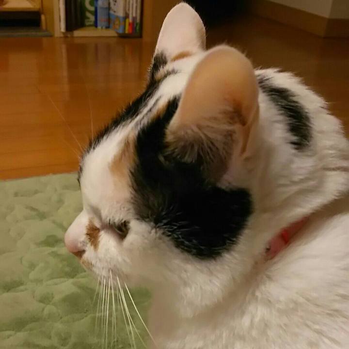 4f8afa53 7beb 49e1 8013 7f963f14c15a