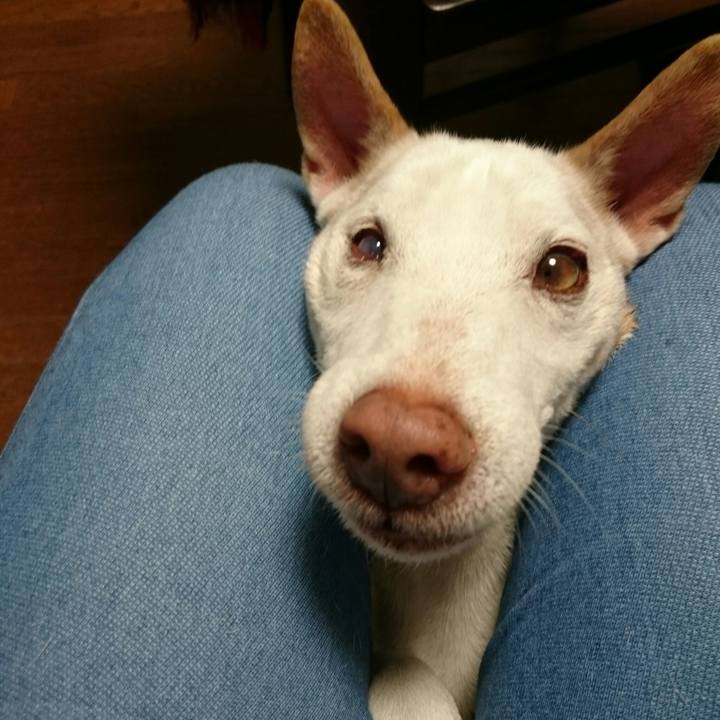 4f8b9ffd 1f16 4a63 92ba 7cf4190f162e