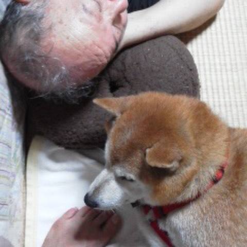 4f8bbadc 16b3 4b78 a4eb 301d60fc8e22