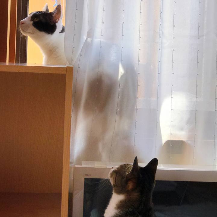 4f8bc583 686f 451c b0a1 8fd53bbeacae