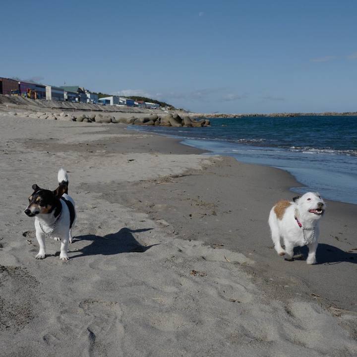 4f8c43fa 31f0 4fb8 8cca 861951f0a99a