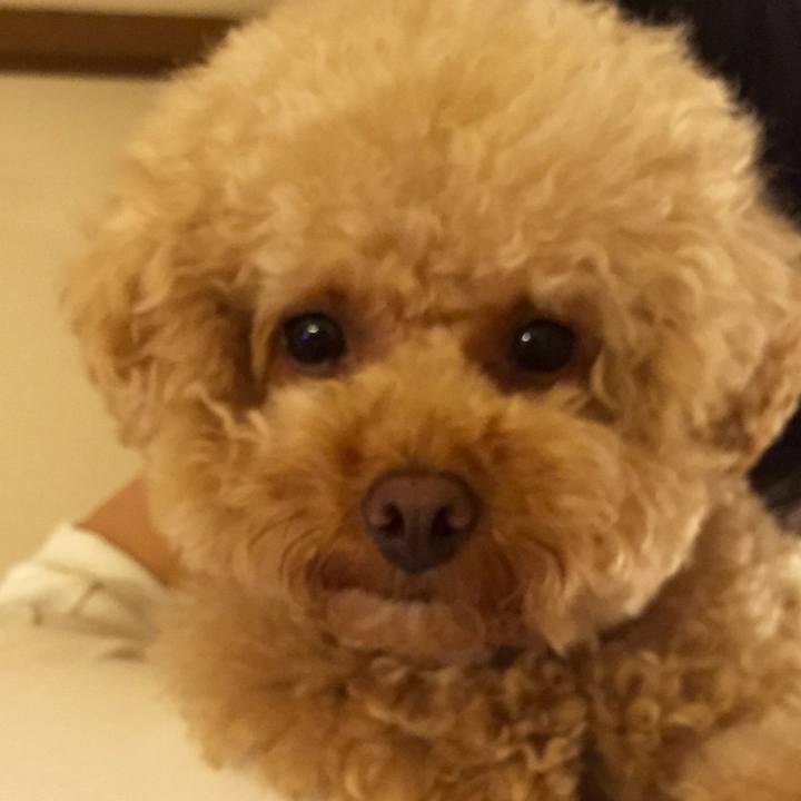 4f8c5663 e757 444f 83ad d9569c95eb11