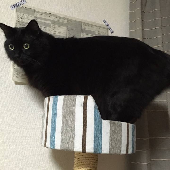 4f8c6bce 4117 4493 8d31 cc62fe7ceb43