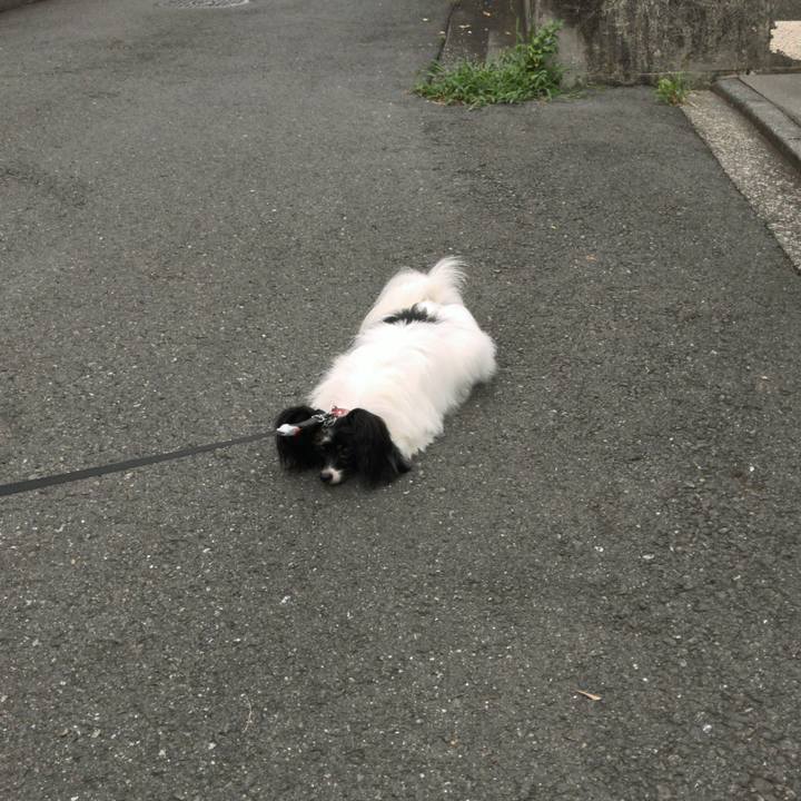 4f8c8693 d54a 4e74 9d4e e29059b98886