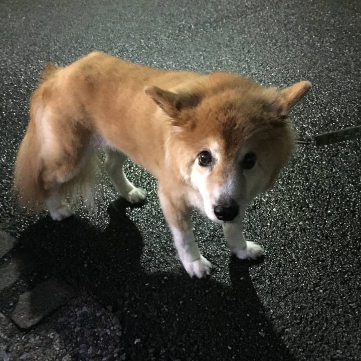 4f8cfb3a 87ac 4eb1 869a 148b06195263