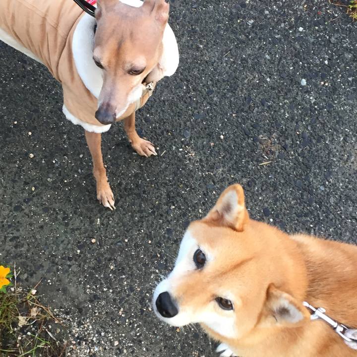 4f8d87e9 c443 43f2 8760 617bc755b7e6