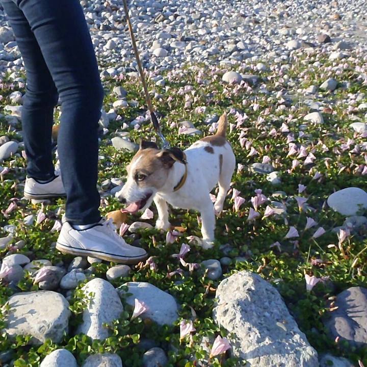 4f8d932a ad9c 484a 99ee 0b9e67cc6fb5