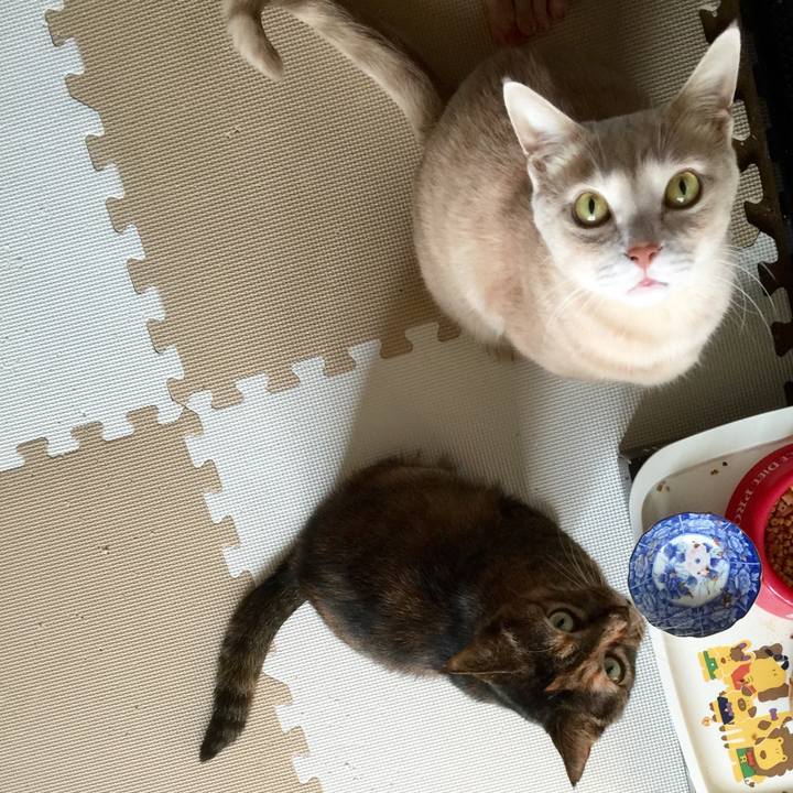 4f8dab4d dddc 4012 a938 669965d1511d