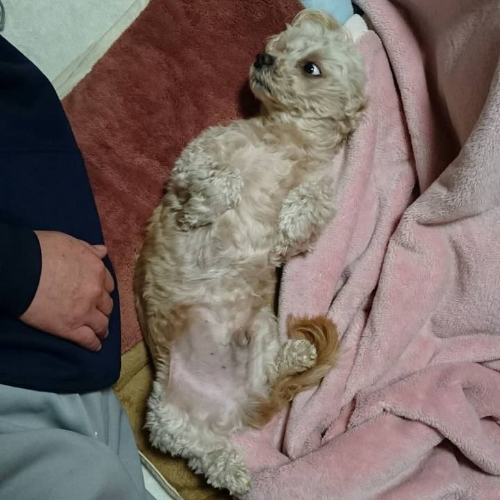 4f8dcd06 f0be 44ec b497 84544659841f