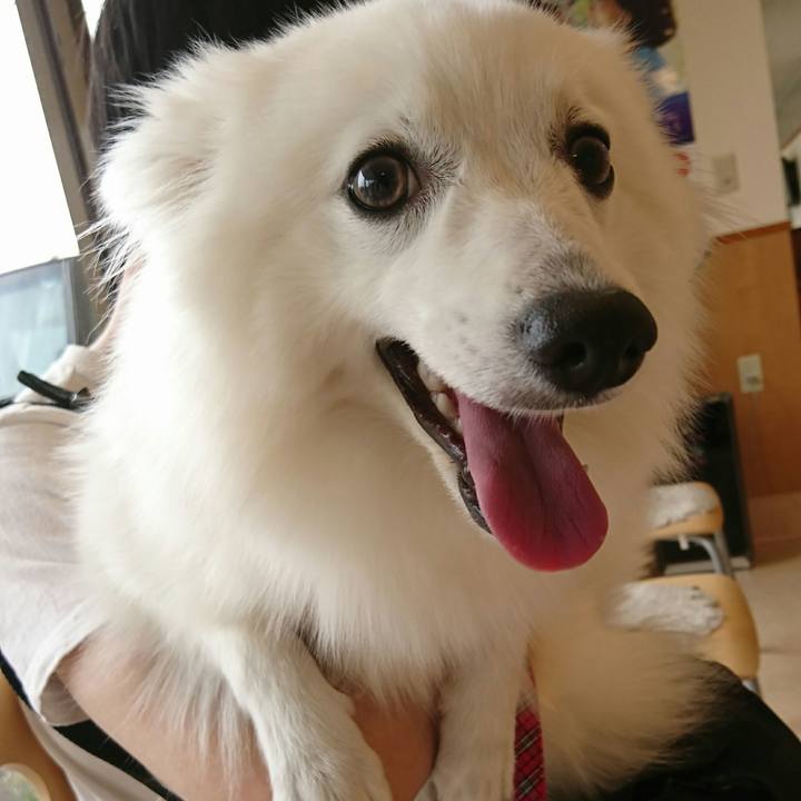 4f8de938 ebee 439d 85ca 9a10c63b77bb