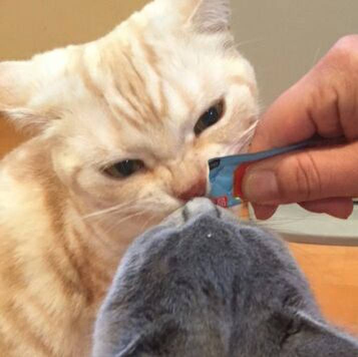 4f8e9e0b 3d7f 4e3e a3d6 89e1a989f2b0