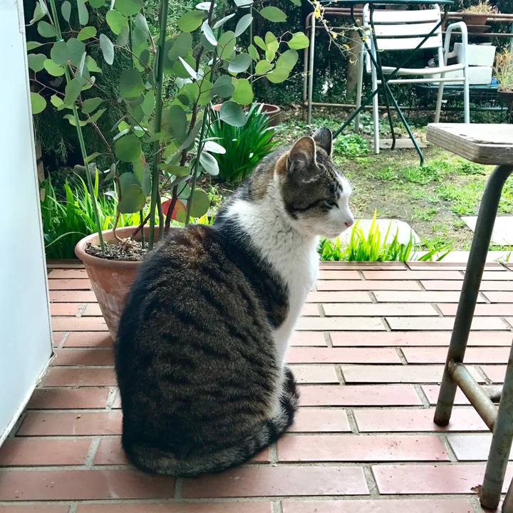 4f8f506e a0a5 4861 a335 fcfc9b81f64a