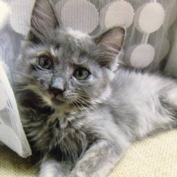 4f8fb452 f0f0 4b0b 8cda 990ab1a0fdb0