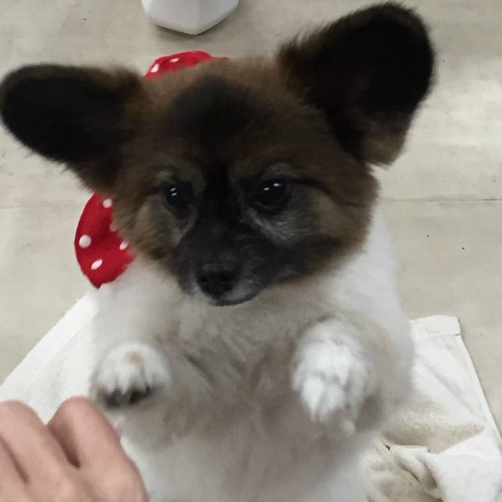 4f8fe5d5 7f61 4f27 a011 e85fbd26c277