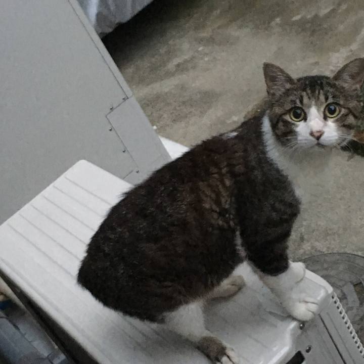 4f902e1f 7cae 48eb 8e91 183669d5de25