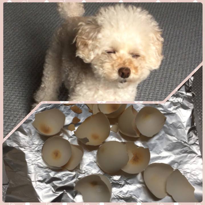 4f90841b 85ca 44e2 9905 a3b9d1a0c0e4