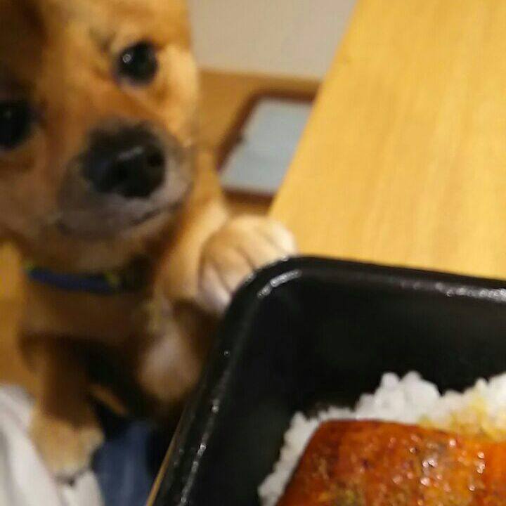 4f90d7b0 b607 4800 96c9 6c9dd9e856be