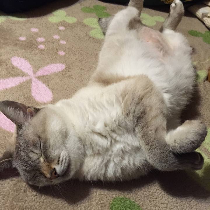 4f90e8b5 1d20 4fe4 865b 3245bccd0b42