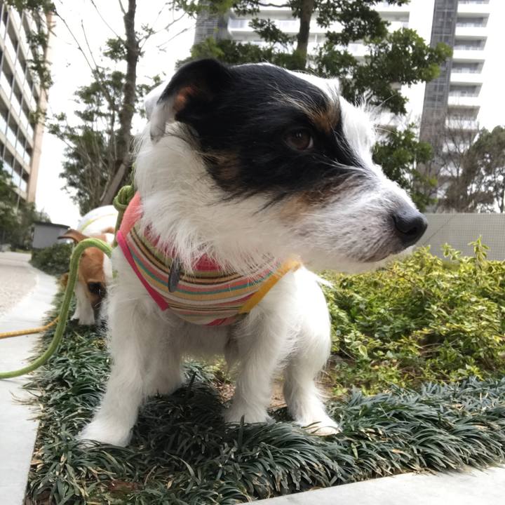 4f9103ff acc6 4920 817f 340c0c4bfc48