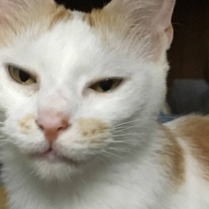 4f910f8f cfbf 4209 8662 56cb7a55328e