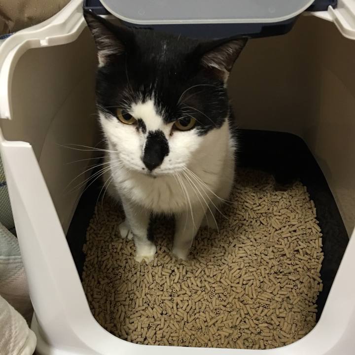 4f921c91 5e92 45c1 99a2 b562d4c17a1d