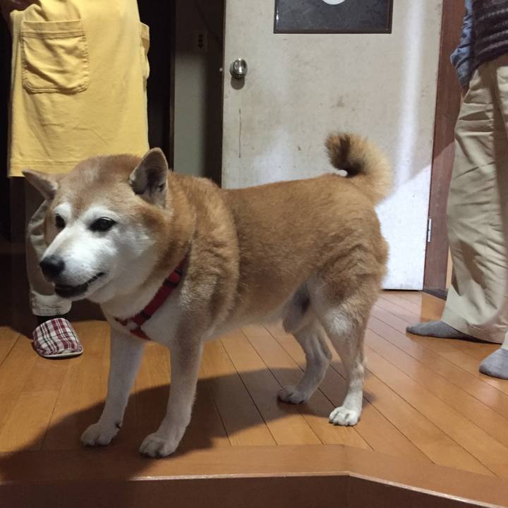 4f924b69 9351 4853 a0d2 6b047c58ce18