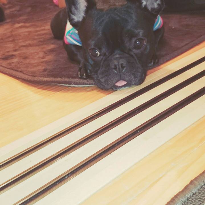 4f93c837 2b58 4f79 a5f8 3b683bff28ff