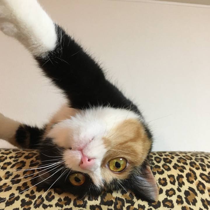 4f948b46 d188 4847 9f85 f50d17f61963