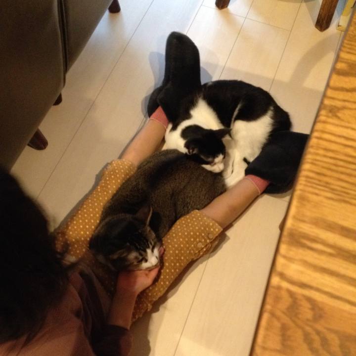 4f9496aa 648e 4e58 8f58 0a43e3190fb8