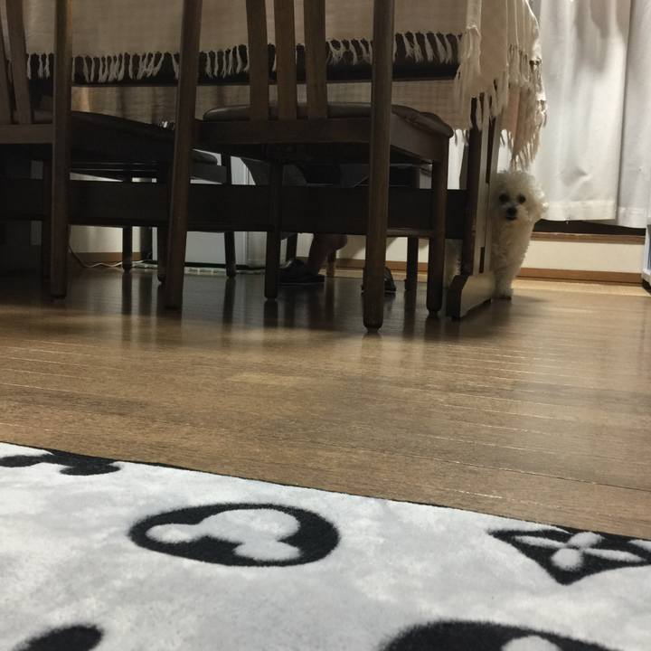 4f953985 5872 4a60 a6cb d4408795ca05