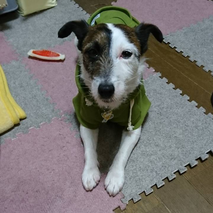 4f954c92 7dc8 47c3 95e4 670d63eaad56